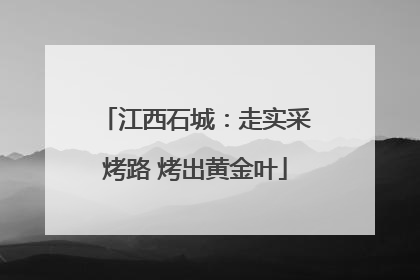 江西石城：走实采烤路 烤出黄金叶